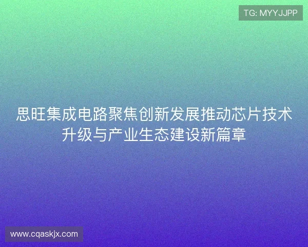 思旺集成电路聚焦创新发展推动芯片技术升级与产业生态建设新篇章 思旺集成电路聚焦创新发展推动芯片技术升级与产业生态建设新篇章